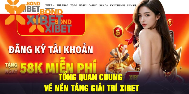 Tổng quan chung về nền tảng giải trí Xibet