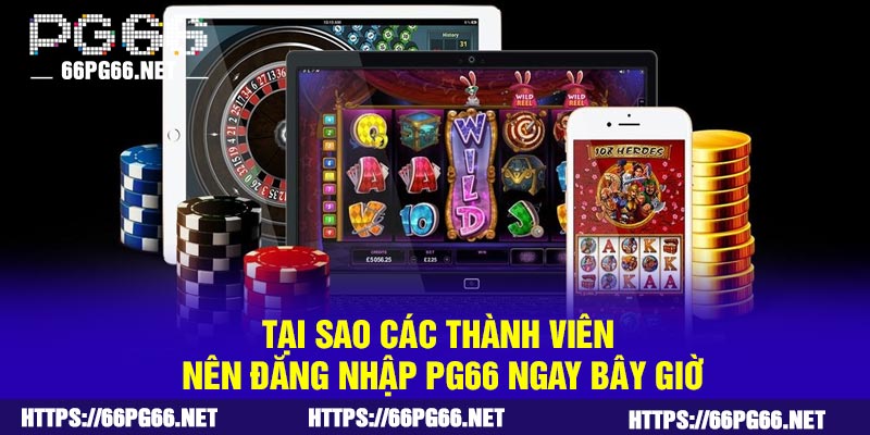 Tại sao các thành viên nên đăng nhập PG66 ngay bây giờ