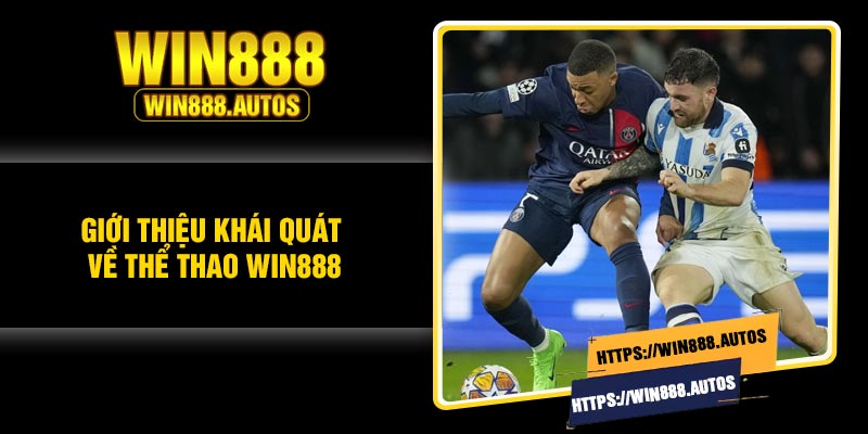 Giới thiệu khái quát về thể thao Win888