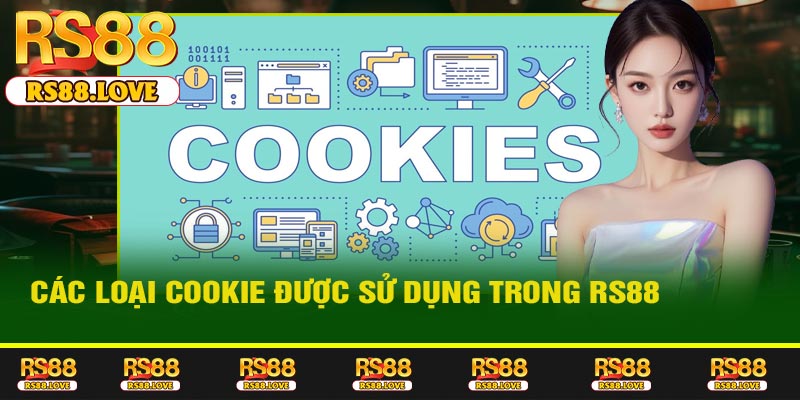 Các Loại Cookie Được Sử Dụng Trong RS88