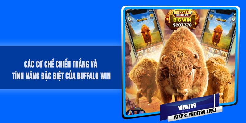 Các cơ chế chiến thắng và tính năng đặc biệt của BUFFALO Win