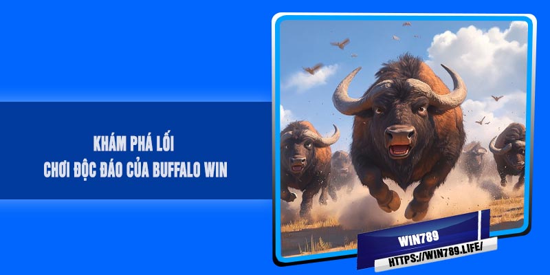 Khám phá lối chơi độc đáo của BUFFALO Win