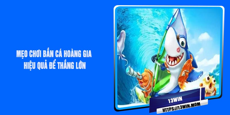 Mẹo Chơi Bắn Cá Hoàng Gia Hiệu Quả Để Thắng Lớn