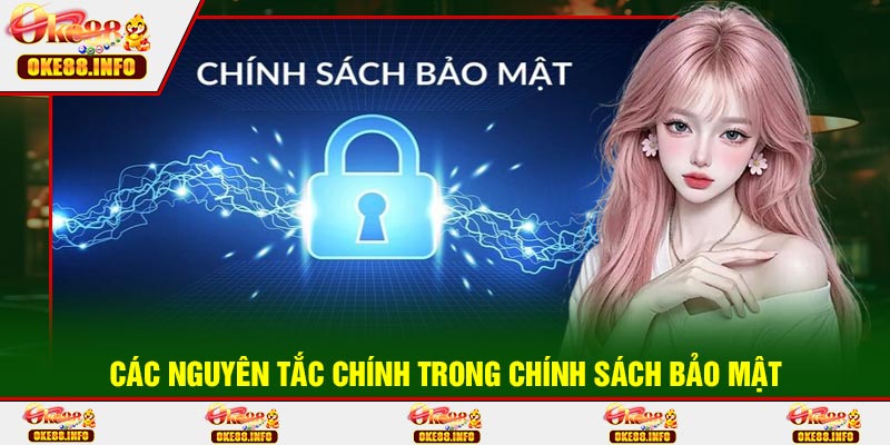 Các Nguyên Tắc Chính Trong Chính Sách Bảo Mật